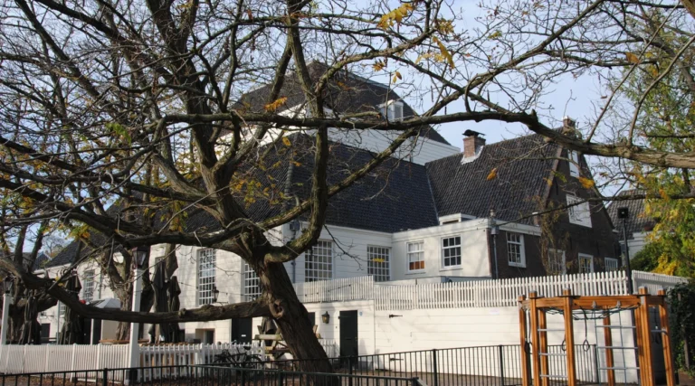 White wooden Amstelkerk and its tiled roof seen through trees on Amstelveld in Amsterdam in daylight