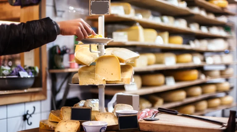 Dutch cheeses displayed for tasting at a cheese shop counter