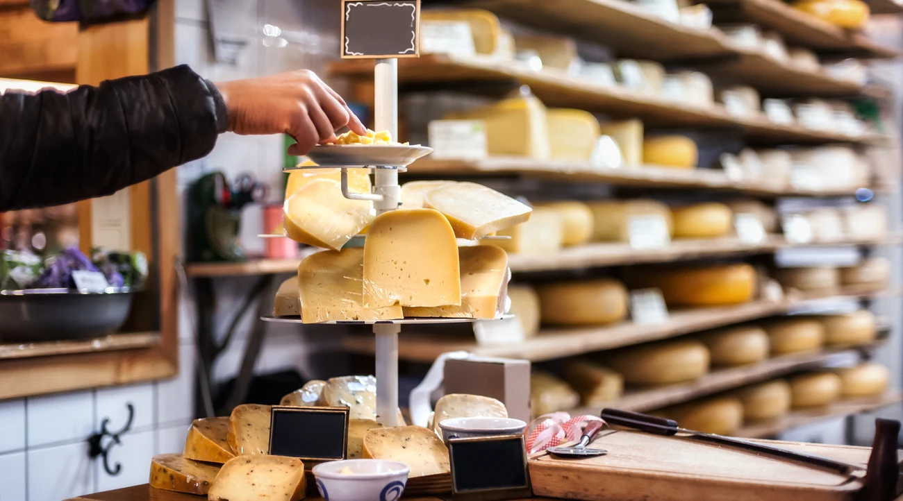 Dutch cheeses displayed for tasting at a cheese shop counter