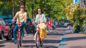 Couple riding bicycles along a tree-lined city street on a sunny day