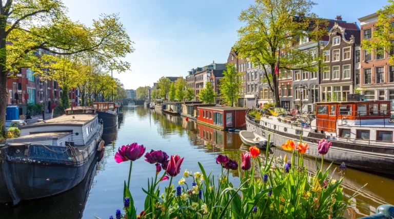 Canal, traditional houses and spring tulips in Amsterdam&rsquo;s Jordaan neighbourhood