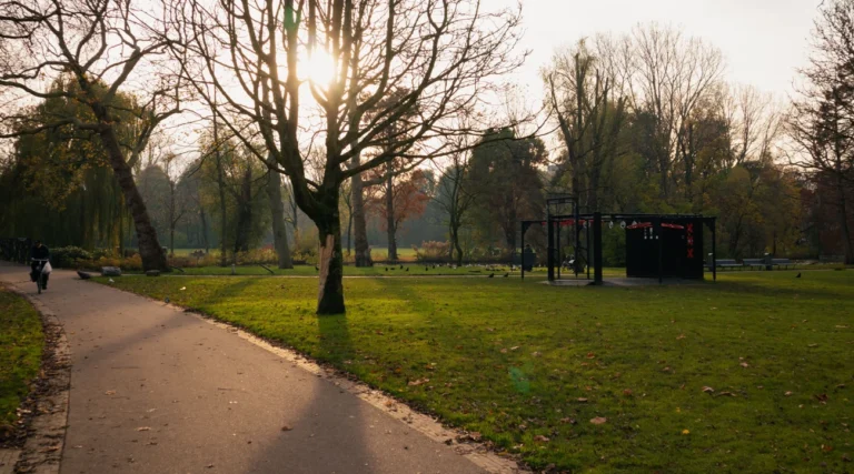 Low autumn sunlight across a curving path and lawns in Oosterpark, Amsterdam
