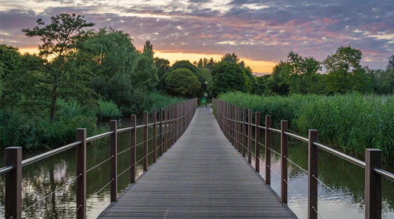 A wooden footbridge crossing the wetland landscape of Park Frankendael, Amsterdam, at sunset