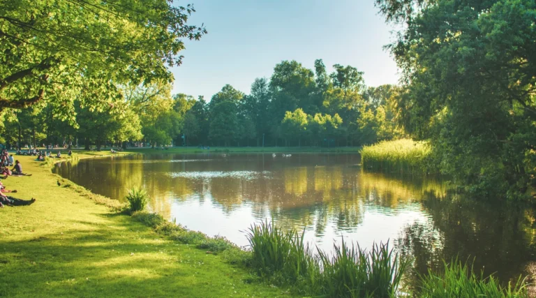 Sunlit trees and lawns reflected in a pond in Vondelpark, Amsterdam